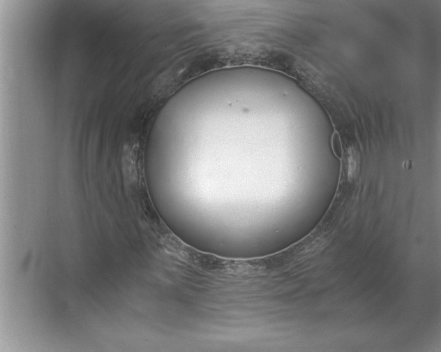 X0000071351059200607071718