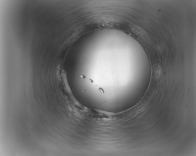 X0000071351060200607071718