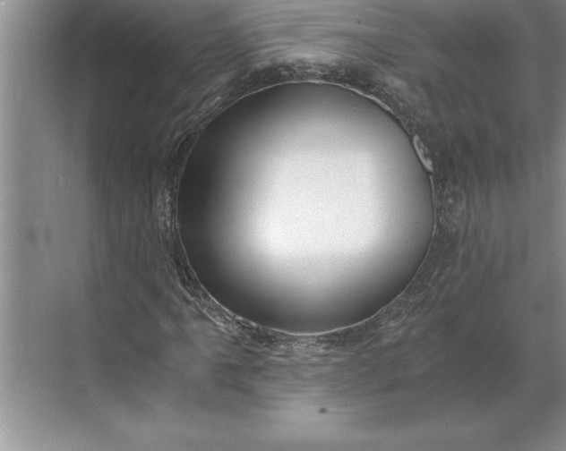 X0000071351061200607071718