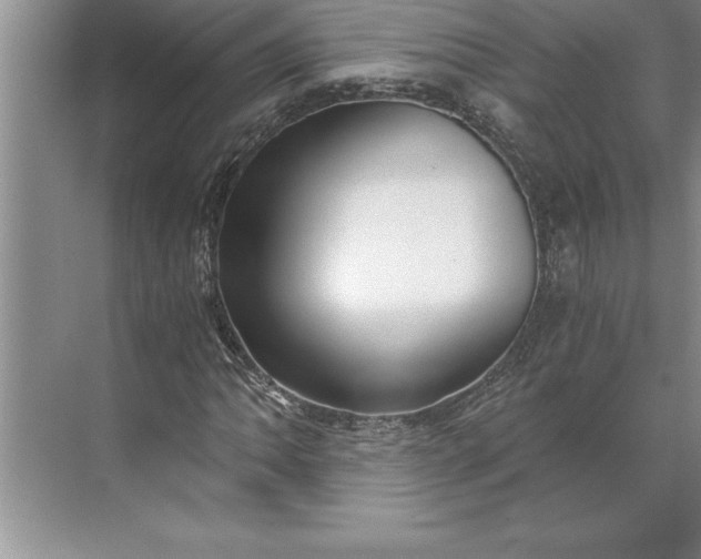 X0000071351062200607071718