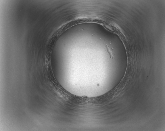 X0000071351064200607071718