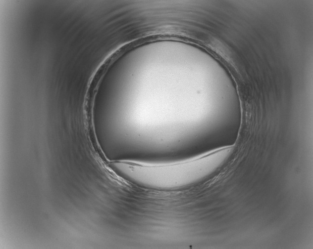 X0000071351068200607071718