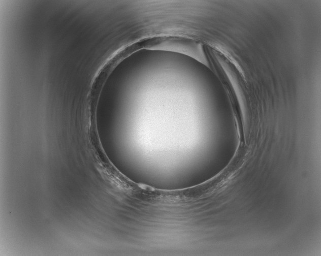 X0000071351069200607071718