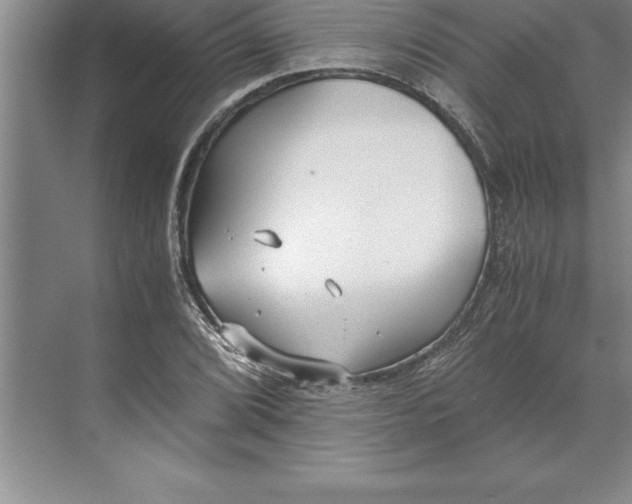 X0000071351072200607071718