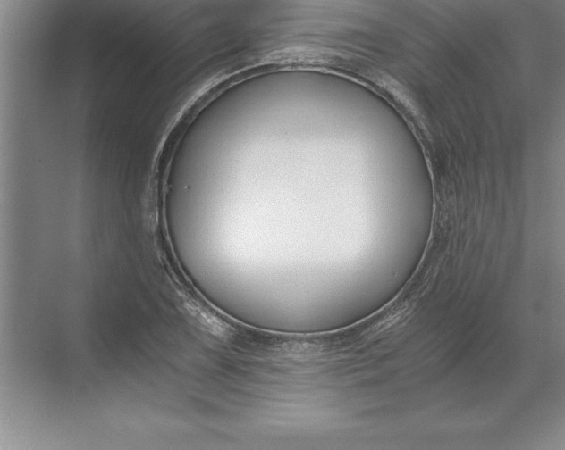 X0000071351075200607071718