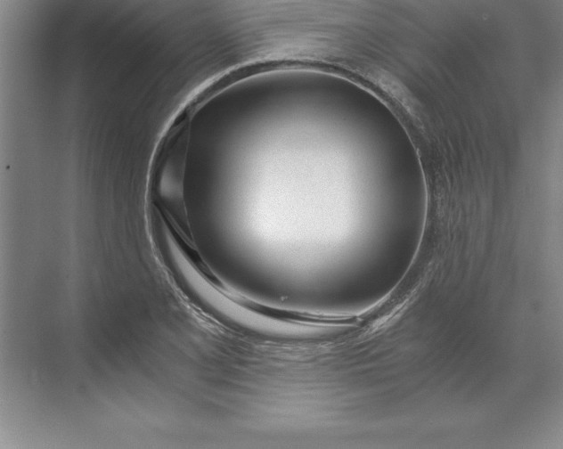 X0000071351077200607071718