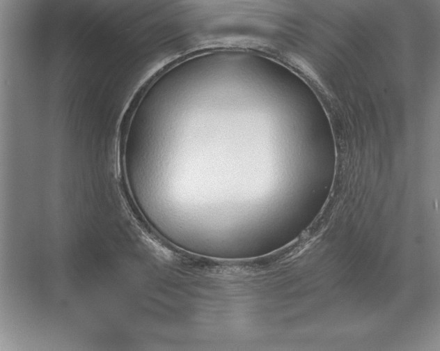 X0000071351079200607071718