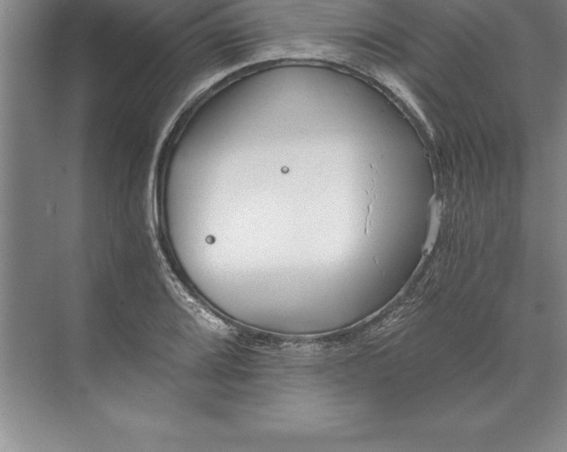 X0000071351080200607071718