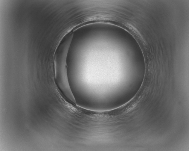 X0000071351081200607071718