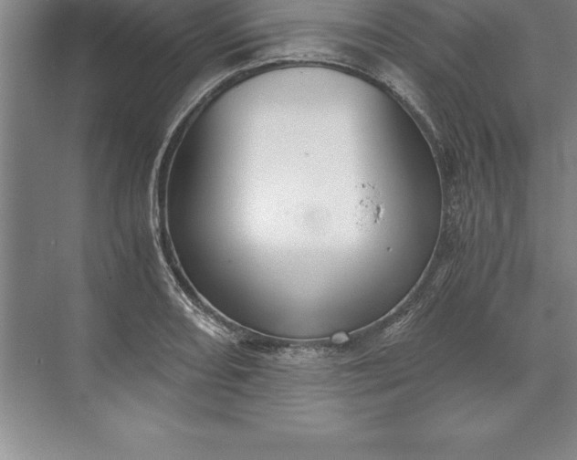 X0000071351082200607071718