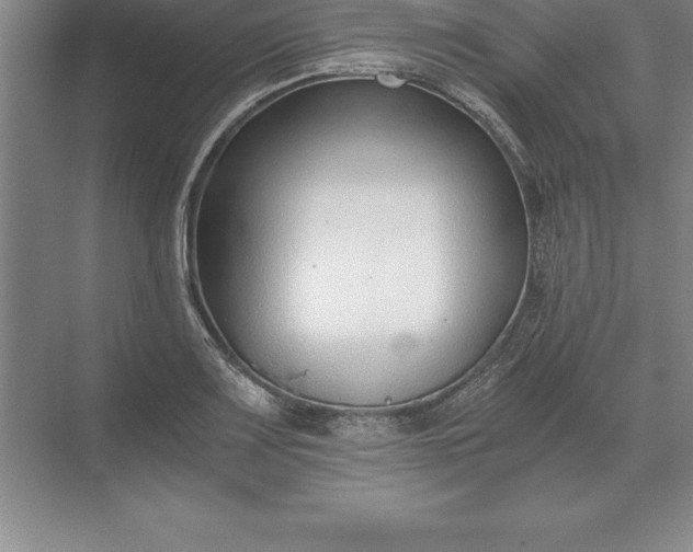 X0000071351083200607071718