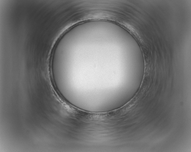 X0000071351086200607071718