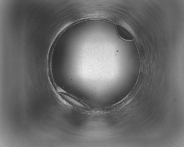 X0000071351087200607071718