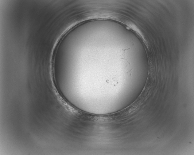 X0000071351088200607071718