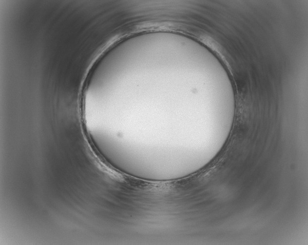 X0000071351090200607071718