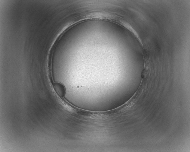 X0000071351091200607071718