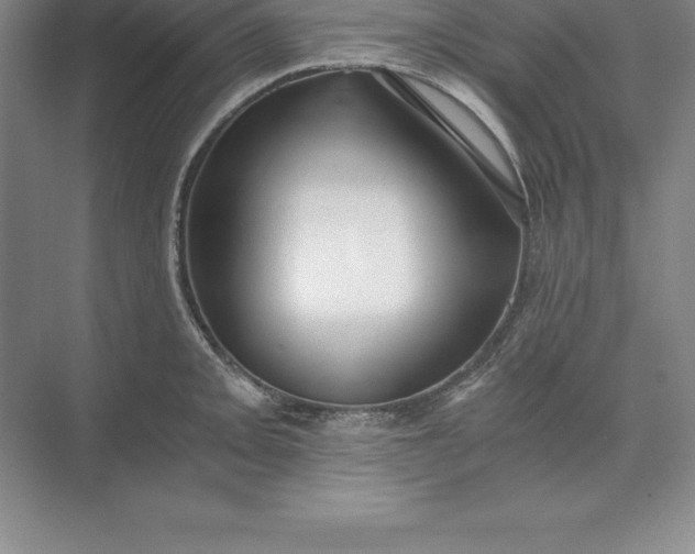 X0000071351093200607071718