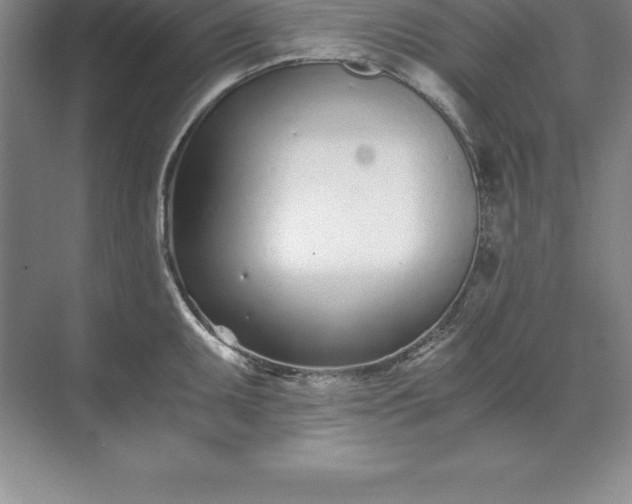 X0000071351095200607071718