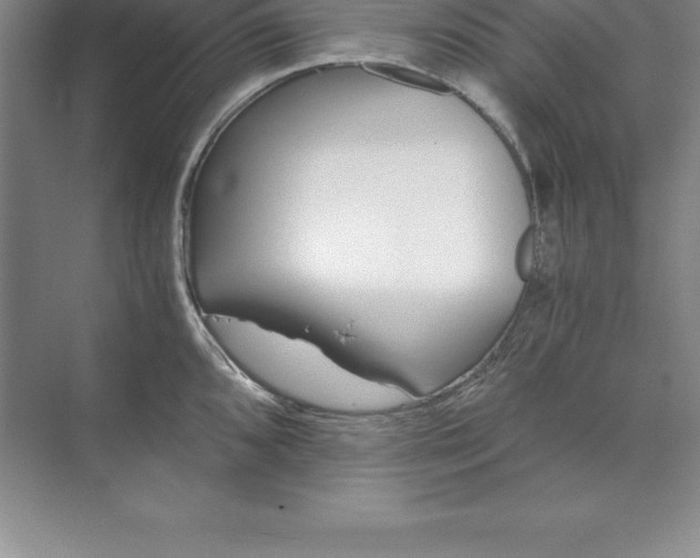 X0000071351096200607071718