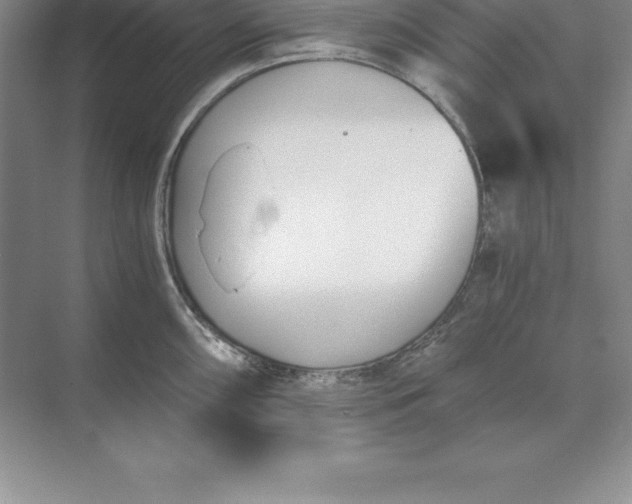 X0000071351098200607071717