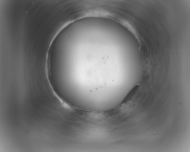 X0000071351103200607071717