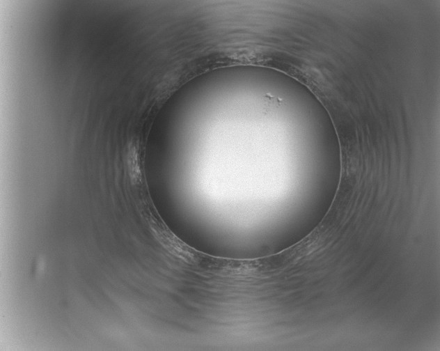 X0000071351106200607071717