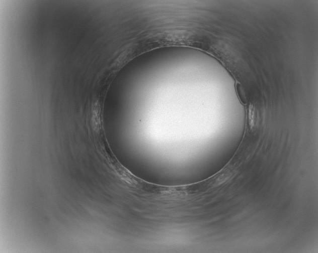 X0000071351107200607071717