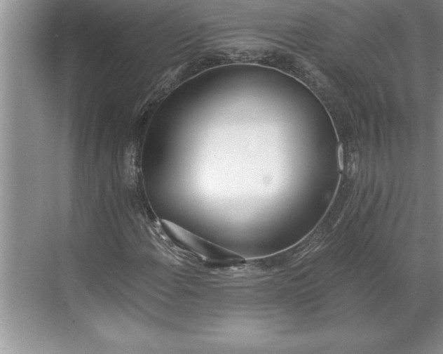 X0000071351108200607071717