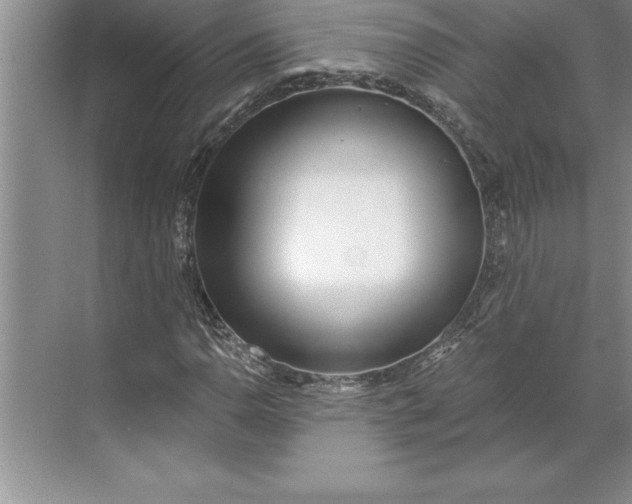 X0000071351110200607071717