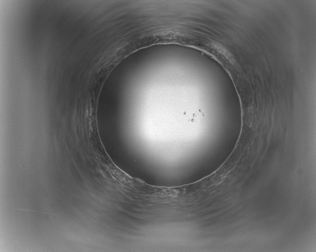 X0000071351111200607071717