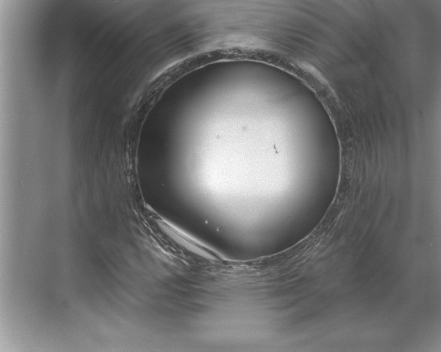 X0000071351112200607071717