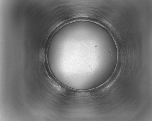 X0000071351113200607071717