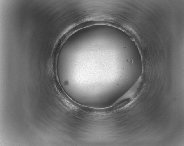 X0000071351114200607071717