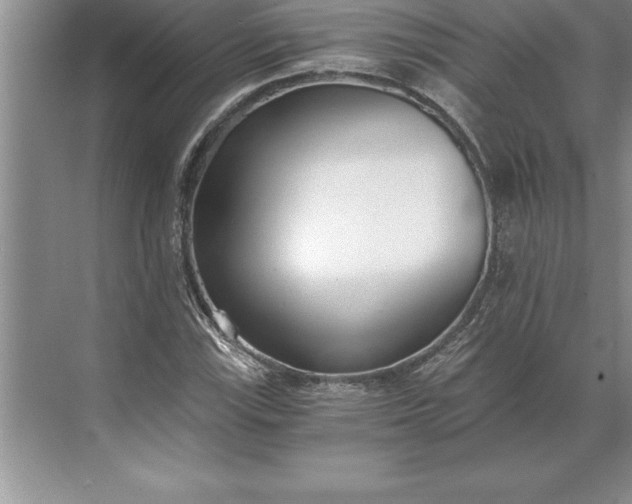 X0000071351115200607071717