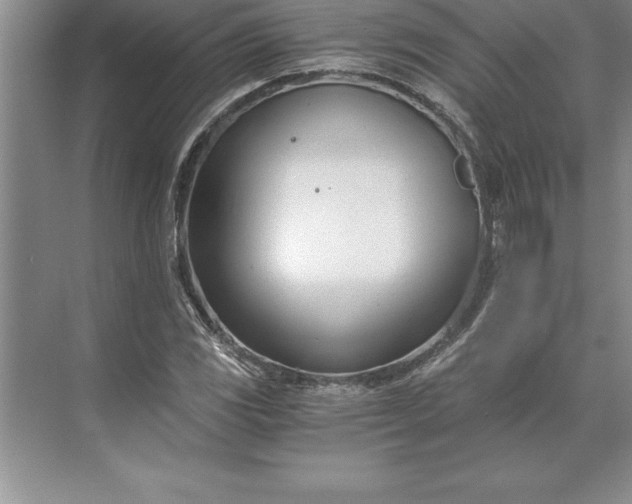 X0000071351117200607071717