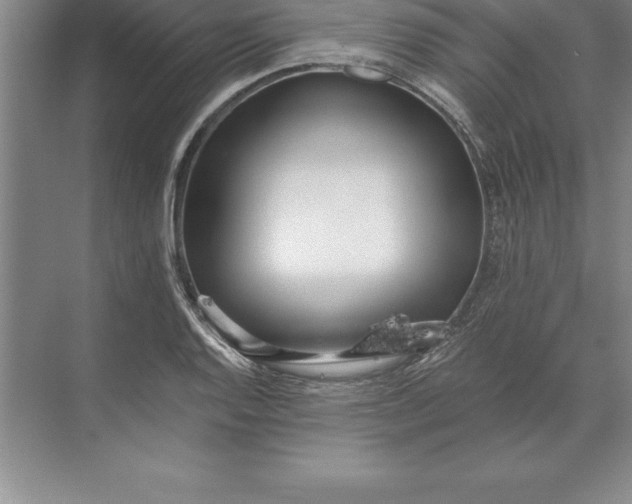 X0000071351128200607071717