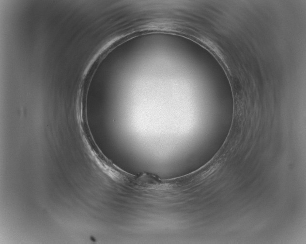 X0000071351131200607071717