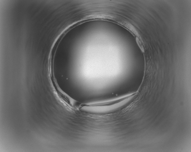 X0000071351132200607071717