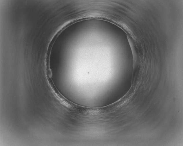 X0000071351134200607071717