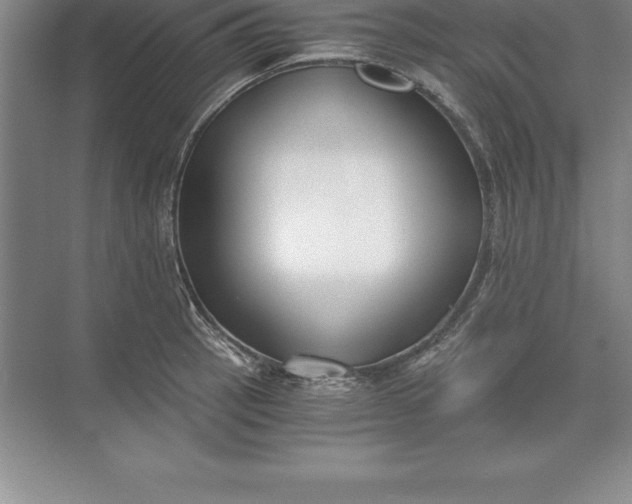 X0000071351137200607071717