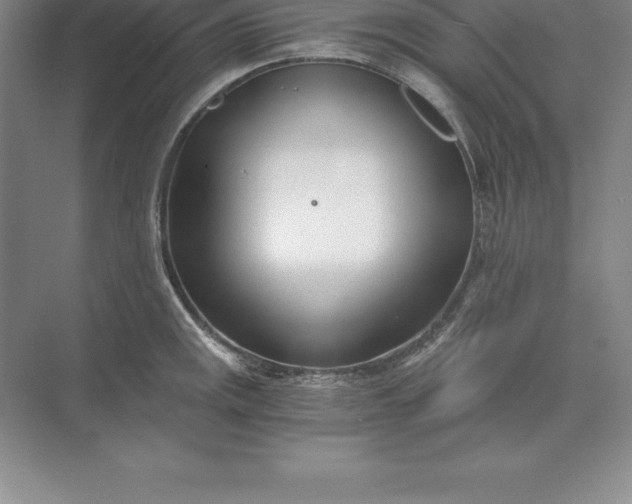 X0000071351141200607071717