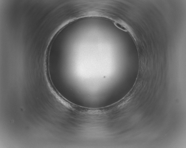 X0000071351142200607071717