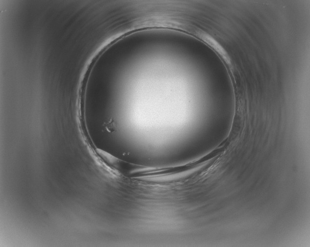 X0000071351144200607071717