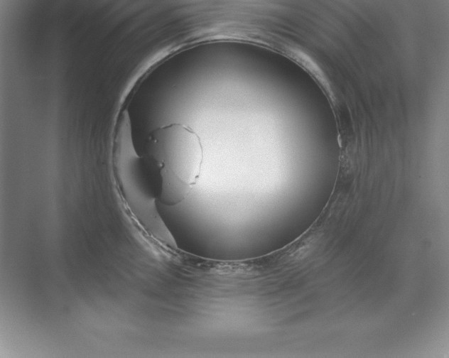 X0000071351146200607071717