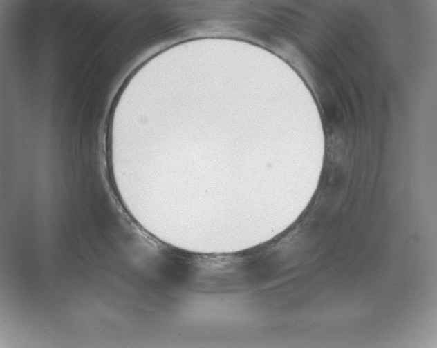 X0000071351150200607071717