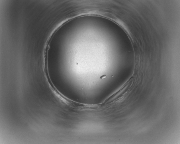 X0000071351151200607071717