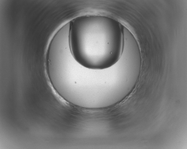 X0000071351152200607071717