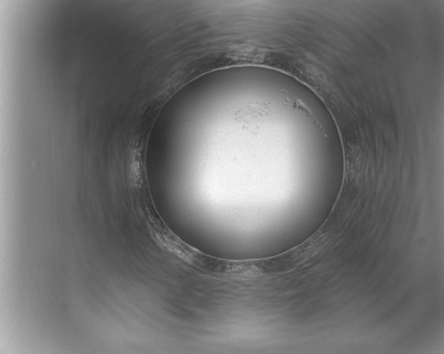 X0000071351154200607071717