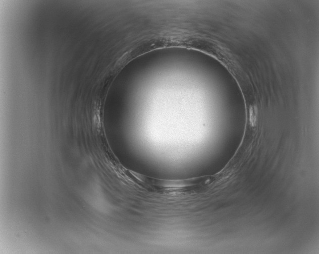 X0000071351155200607071716