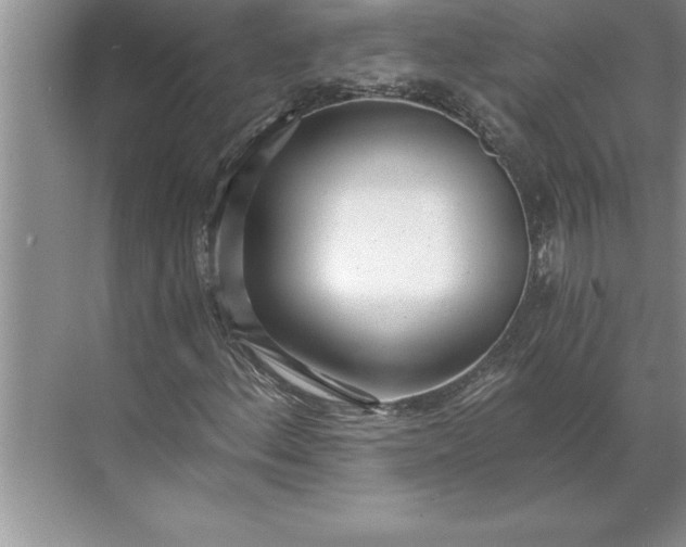 X0000071351156200607071716